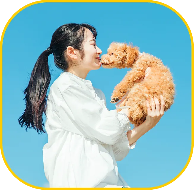 ハーネスが苦手な子にも安心