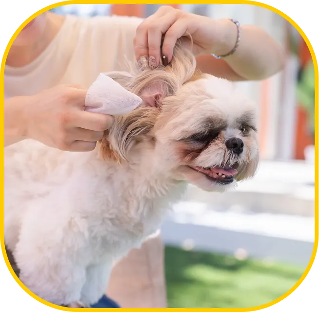 すぐ洗えて清潔を保てる