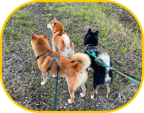 ご来場・解錠して入場