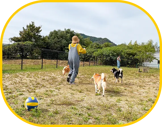 ドッグラン利用